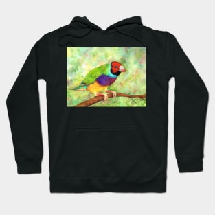 Gouldian Finch Hoodie